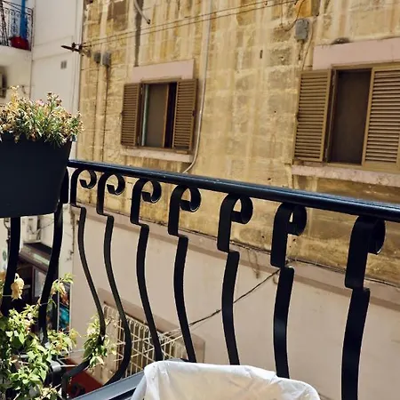 The Mike By Cx Collection