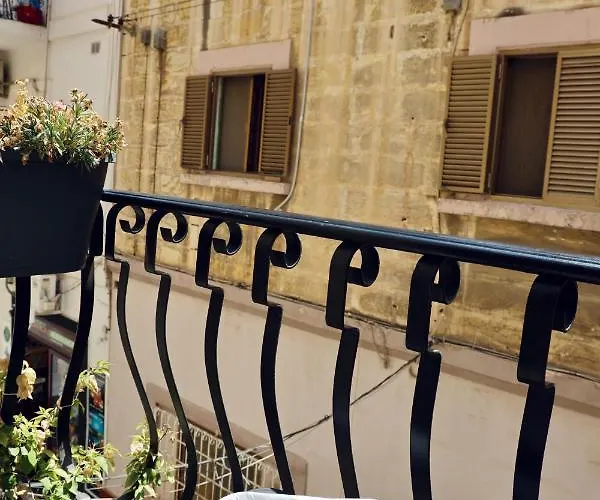 The Mike By Cx Collection